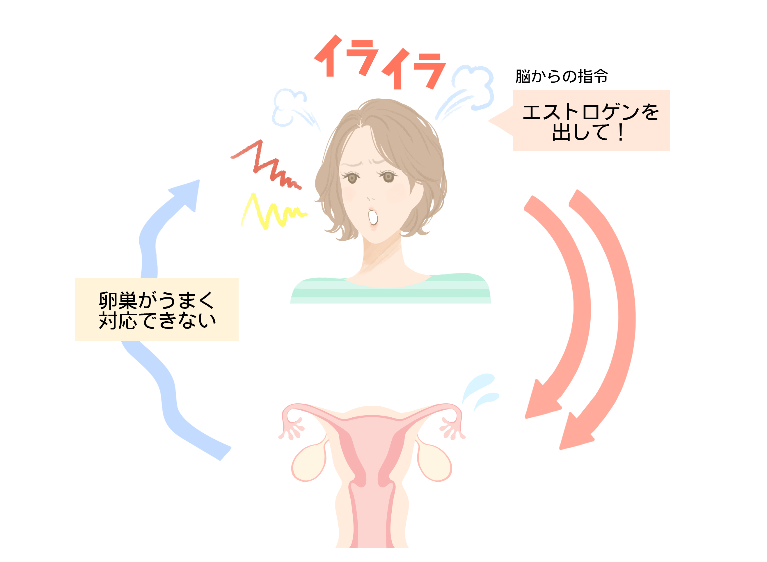 更年期の女性がイライラしがちになるのはなぜ？更年期障害の原因と解消法‐ILACY(アイラシイ)働く女性の医療メディア